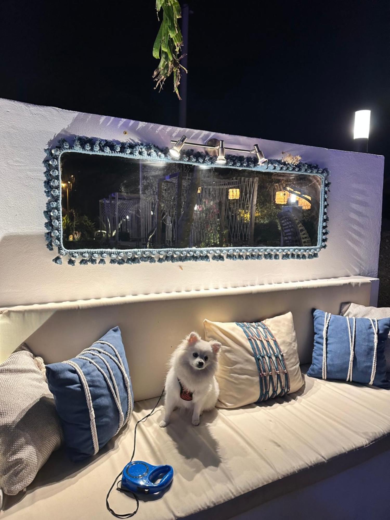 Belong Butik Otel Cesme Exterior photo
